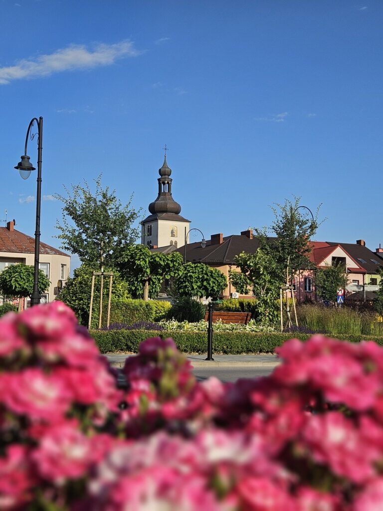 Wieża kościelna w centrum. Na pierwszym planie rozmyte różowe kwiaty, w dalszym planie zieleń miejskiego parku. Błękitne niebo.