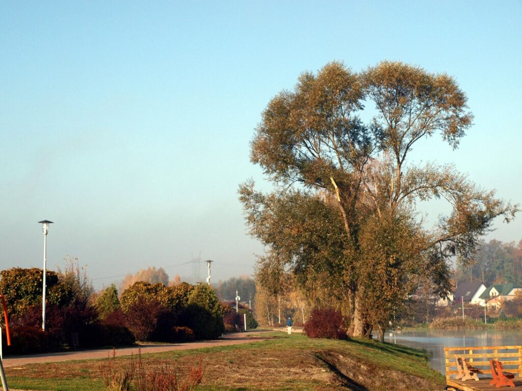 Ścieżka spacerowa wokół krzewy i wysokie drzewa. Fragment pomostu na zalewie. Niebo błękitne, nieco zamglone.