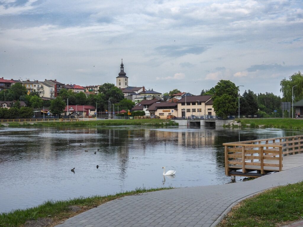 Panorama miejska z wieżą kościelną w centrum. Na pierwszym planie zalew miejski z łabędziem i kaczkami. Fragment pomostu. Niebo zachmurzone.